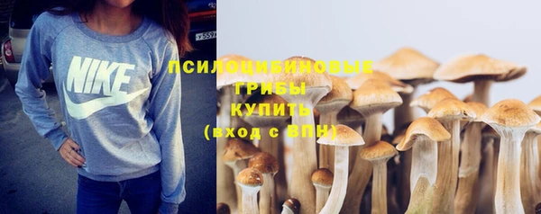 ПСИЛОЦИБИНОВЫЕ ГРИБЫ Ростов