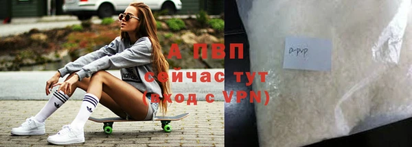 ПСИЛОЦИБИНОВЫЕ ГРИБЫ Ростов
