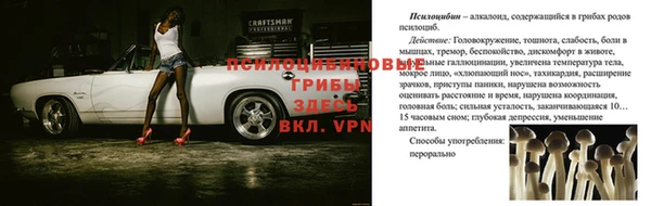 apvp Россошь